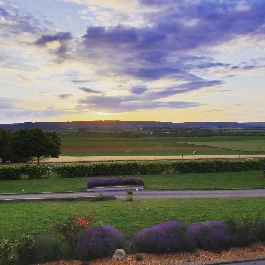 Logis Hotel- Restaurant La Haie Des Vignes Seminaires Et Evenementiel Allain Экстерьер фото